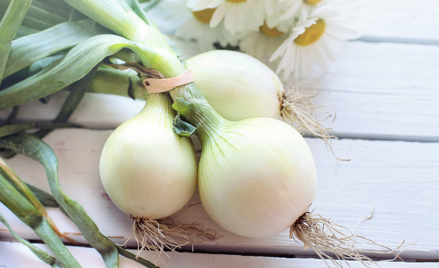 White onion