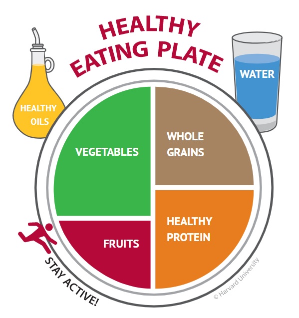 The Healthy Eating Plate