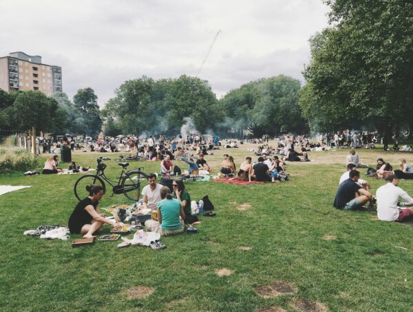 Hot Dog Picnic.